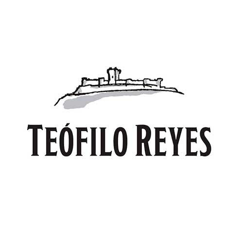Bodegas Teófilo Reyes